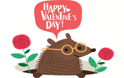 Hedgehog Valentine